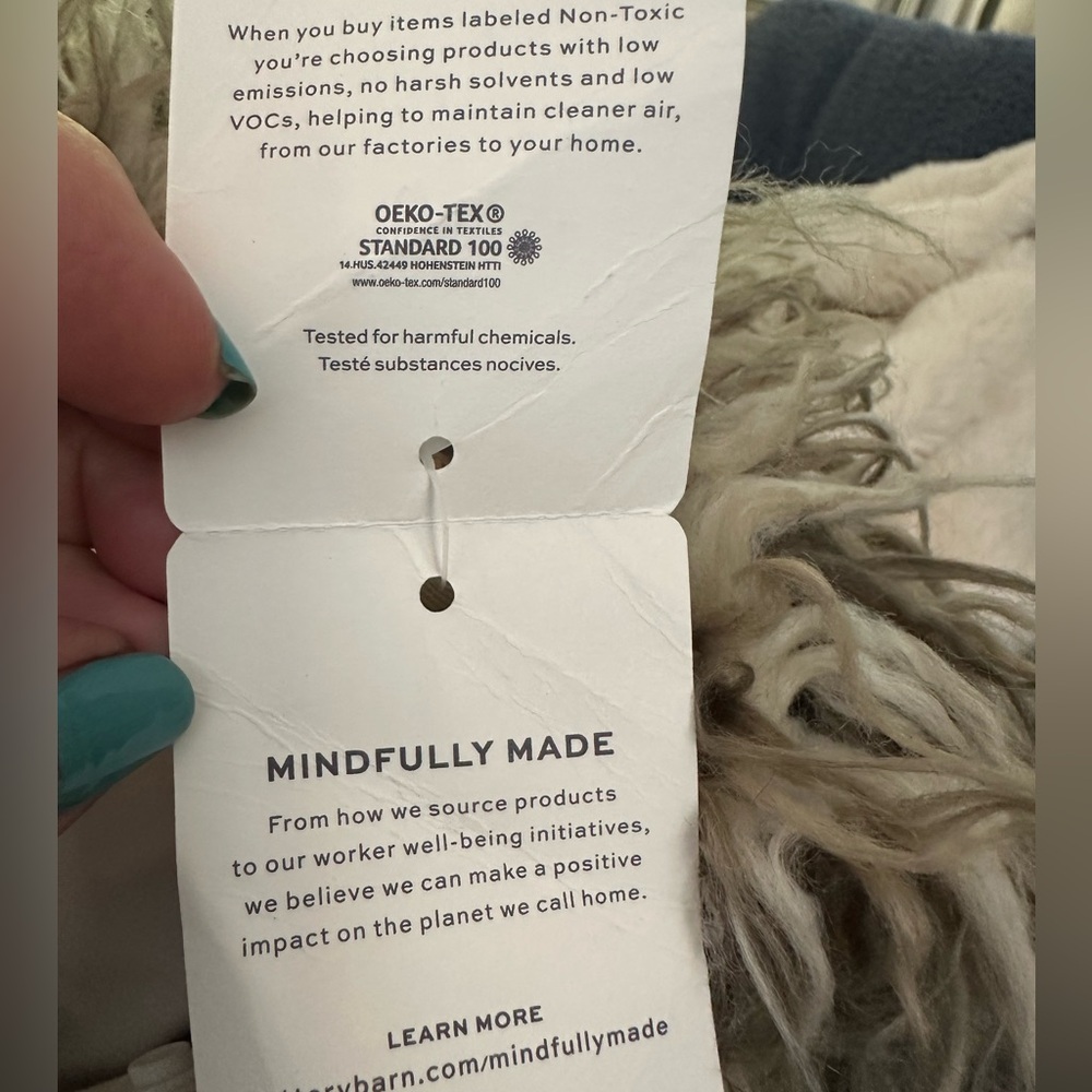 Pottery Barn faux fur pillow & insert - Picture 13 of 16